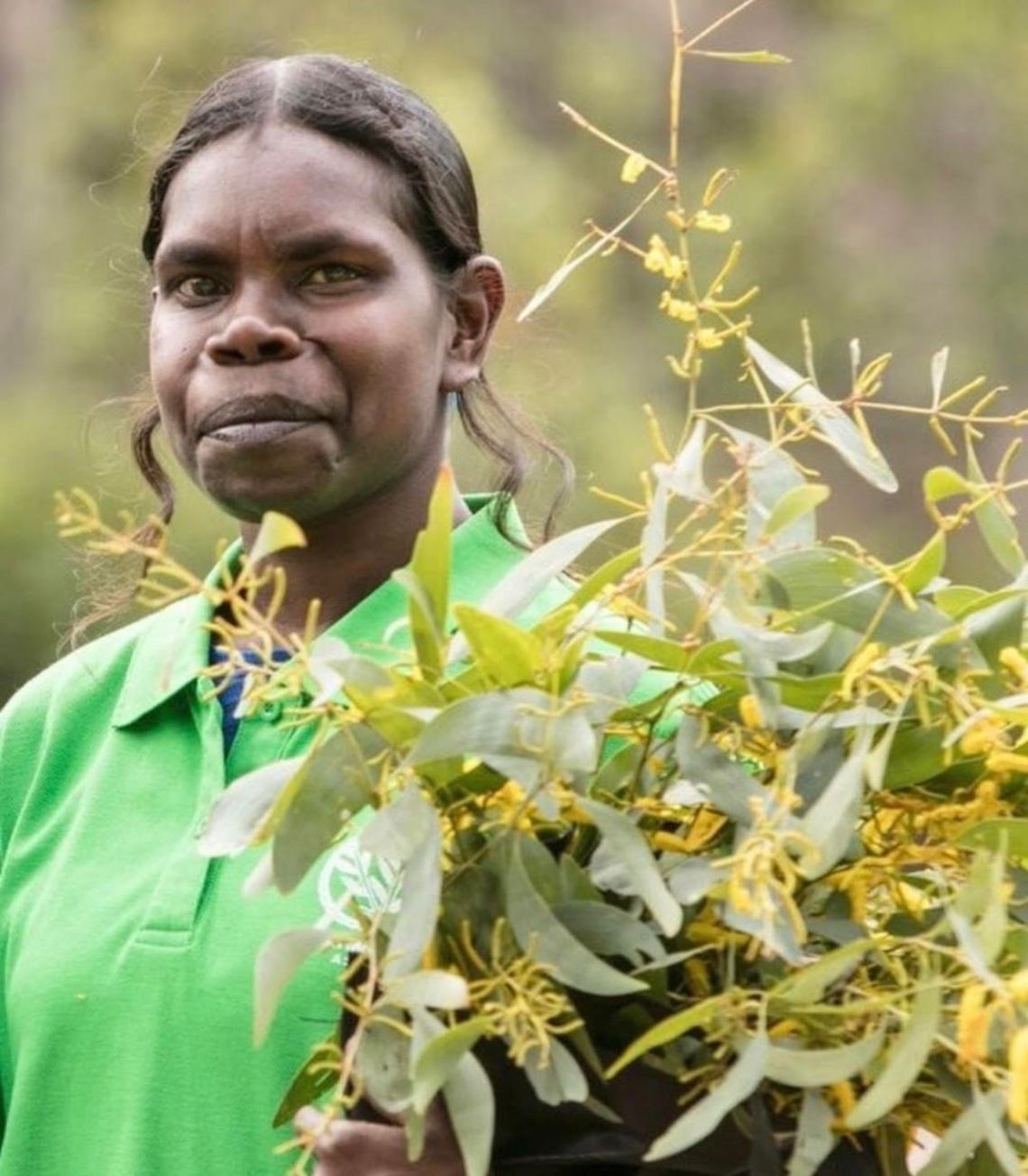 Indigenous methods of agriculture